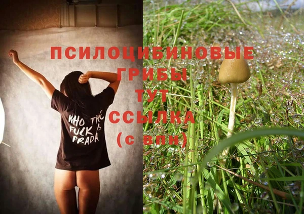 apvp Магас