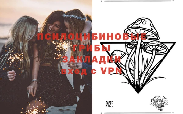 apvp Магас
