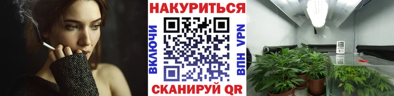 маркетплейс клад Таштагол Шишки марихуана марихуана